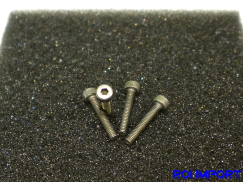 Aluminium M2x12 mm screw (4 pcs)